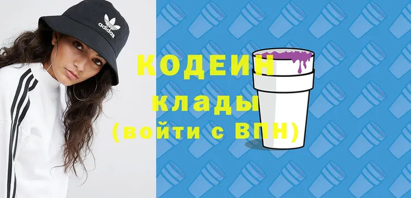 купить наркотики цена  ссылка на мегу рабочий сайт  Кодеиновый сироп Lean Purple Drank  Елизово 